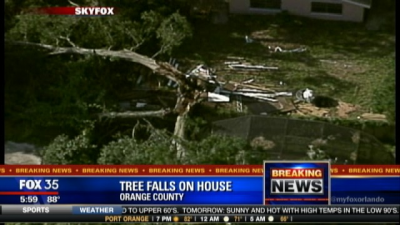 Tree falls onto home in Orange County